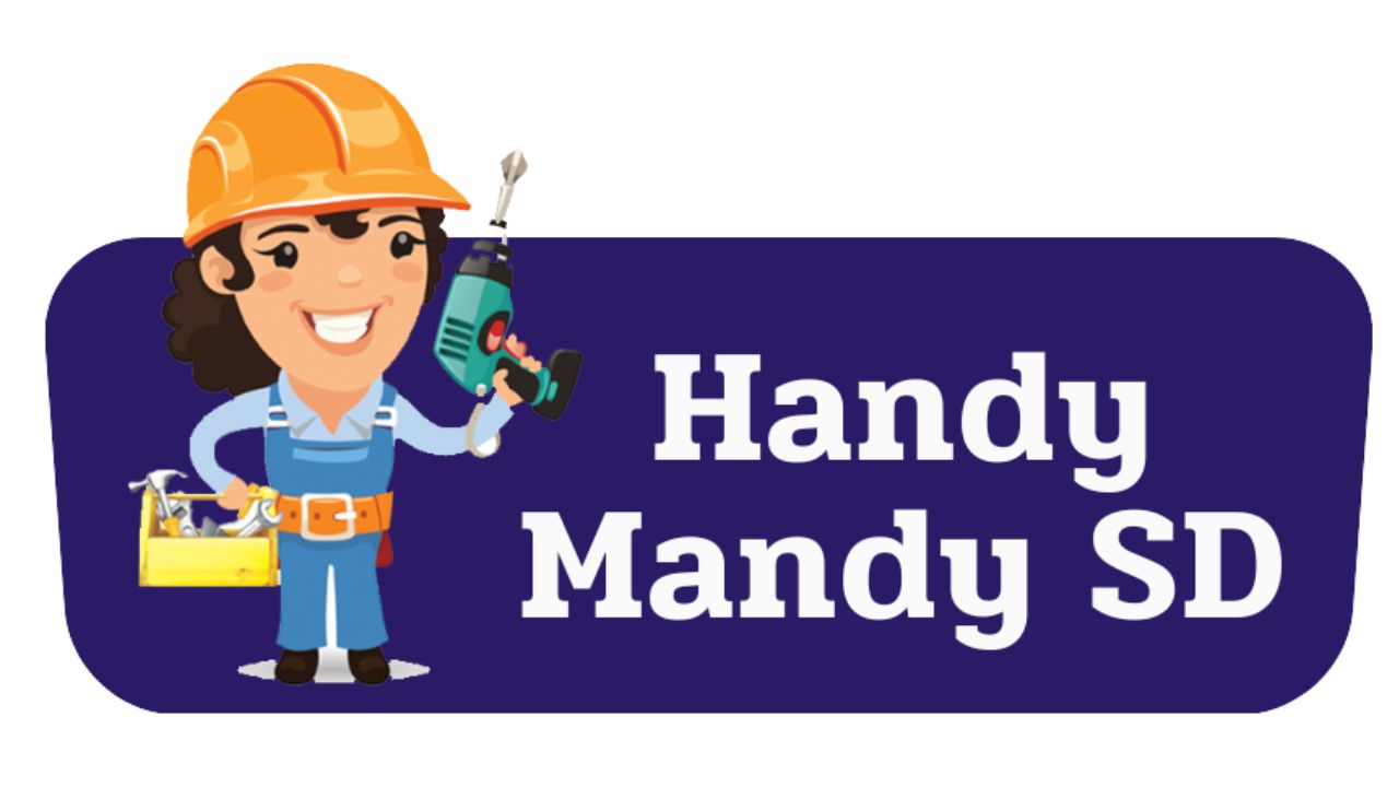 Handy Mandy SD